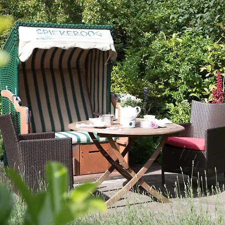 Pirola - Dachgeschoss